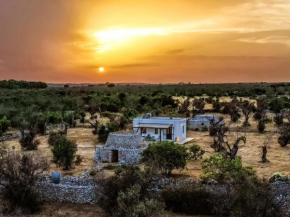 Casa Barzò - surrounded by olive trees Salve